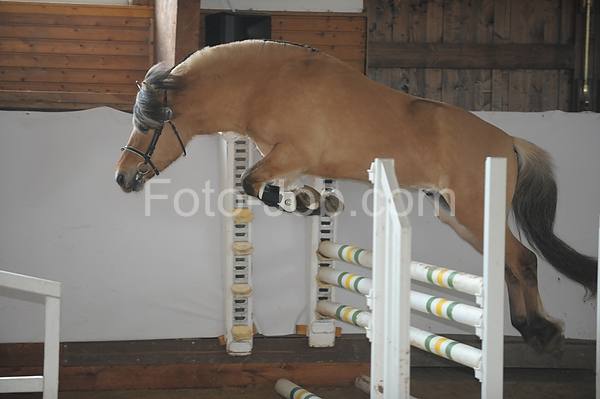 Preview 01_ZES_5891.jpg